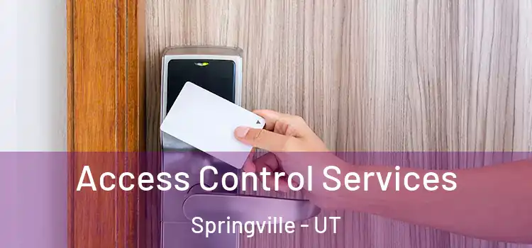 Access Control Services Springville - UT