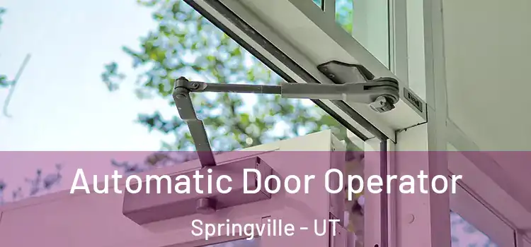 Automatic Door Operator Springville - UT