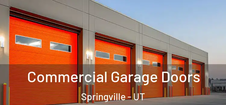  Commercial Garage Doors Springville - UT