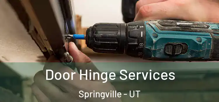 Door Hinge Services Springville - UT