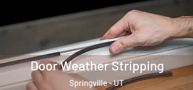  Door Weather Stripping Springville - UT