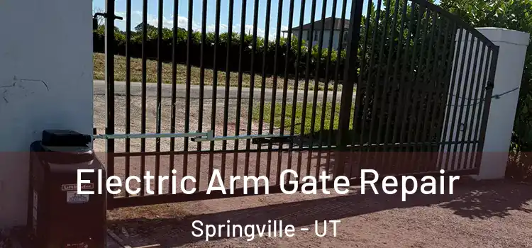 Electric Arm Gate Repair Springville - UT