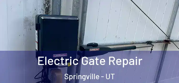 Electric Gate Repair Springville - UT