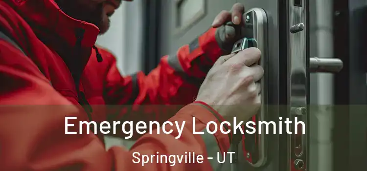  Emergency Locksmith Springville - UT