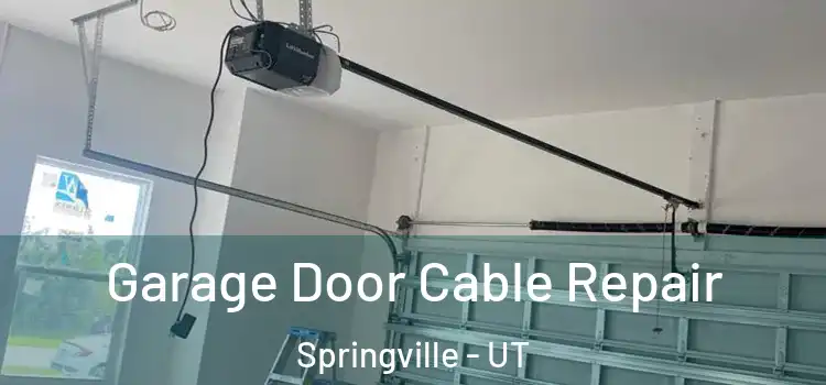  Garage Door Cable Repair Springville - UT