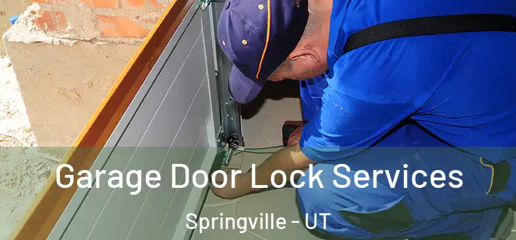 Garage Door Lock Services Springville - UT