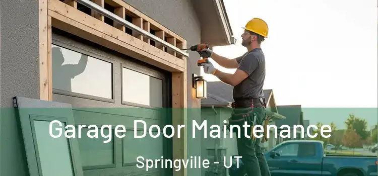 Garage Door Maintenance Springville - UT