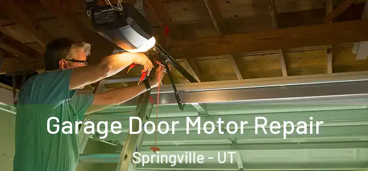  Garage Door Motor Repair Springville - UT