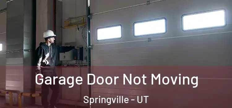 Garage Door Not Moving Springville - UT