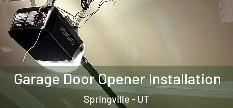  Garage Door Opener Installation Springville - UT