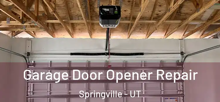  Garage Door Opener Repair Springville - UT