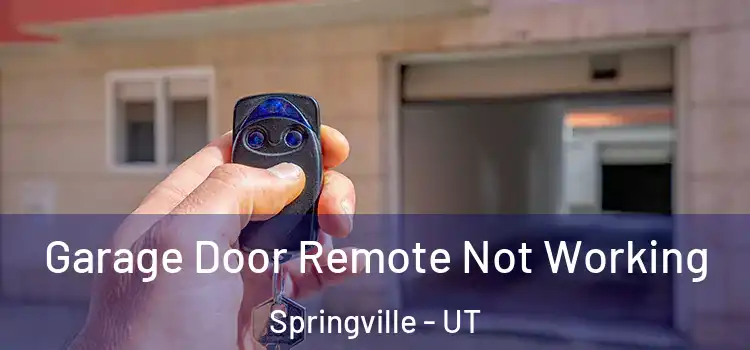  Garage Door Remote Not Working Springville - UT