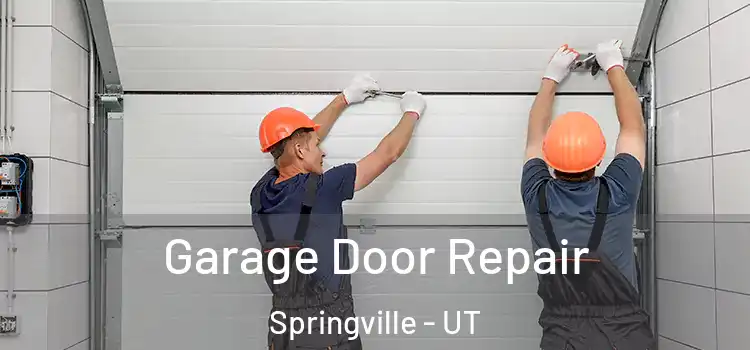  Garage Door Repair Springville - UT