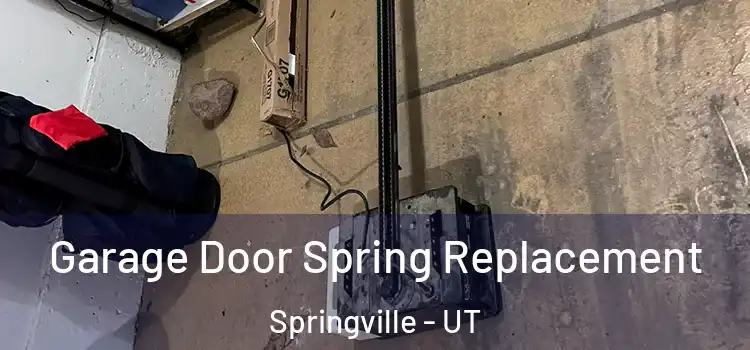  Garage Door Spring Replacement Springville - UT
