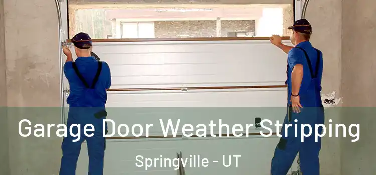  Garage Door Weather Stripping Springville - UT