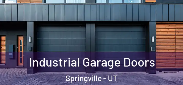  Industrial Garage Doors Springville - UT