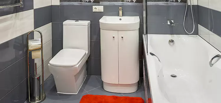 Hansgrohe Shaving Mirror Springville