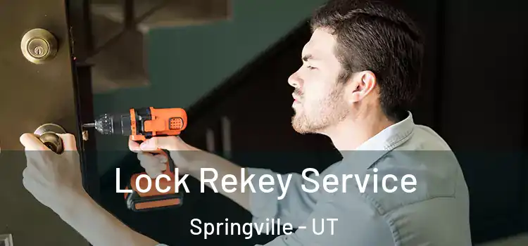 Lock Rekey Service Springville - UT