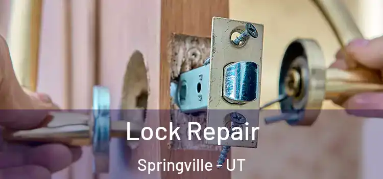 Lock Repair Springville - UT