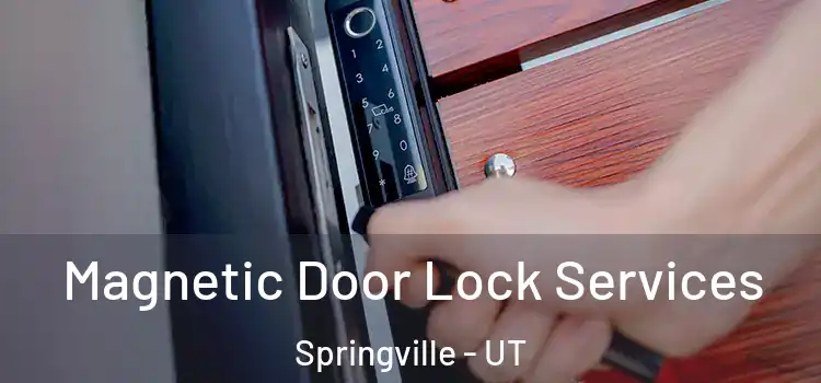 Magnetic Door Lock Services Springville - UT