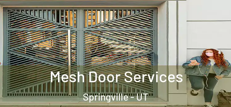 Mesh Door Services Springville - UT