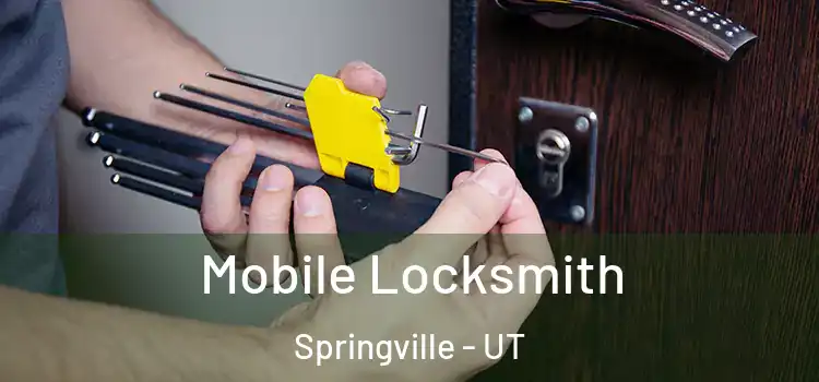 Mobile Locksmith Springville - UT