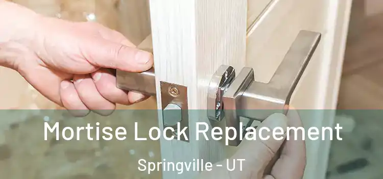 Mortise Lock Replacement Springville - UT