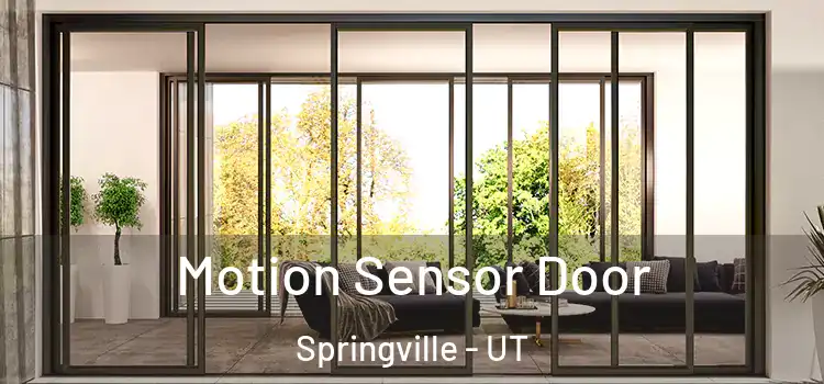 Motion Sensor Door Springville - UT