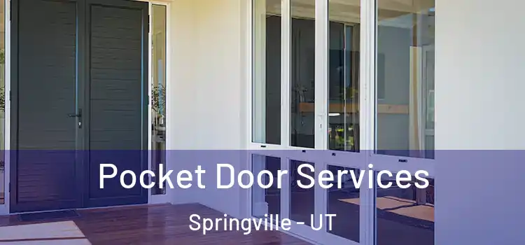 Pocket Door Services Springville - UT