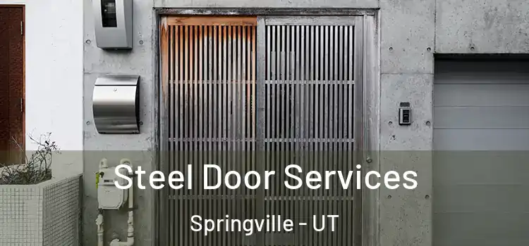 Steel Door Services Springville - UT