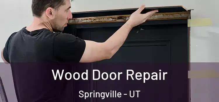  Wood Door Repair Springville - UT